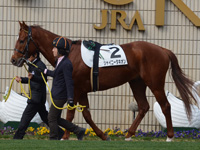 新馬戦　パドック
