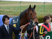 きさらぎ賞（ＧIII）　口取り