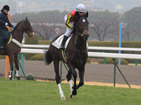 新馬戦　キャンター