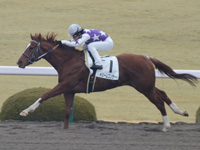 500万平場戦　ゴール前