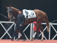 500万平場戦　パドック
