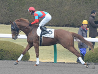 500万平場戦　キャンター
