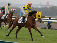 新馬戦　キャンター