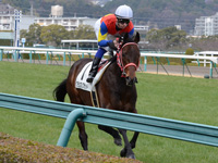未勝利戦　キャンター