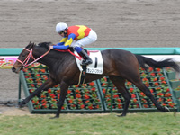 未勝利戦　ゴール前