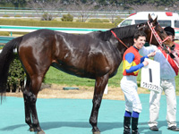 未勝利戦　口取り