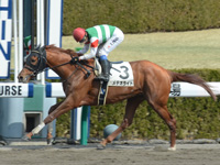未勝利戦　ゴール前