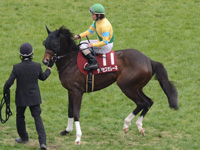 フィリーズレビュー（ＧII）　本馬場入場