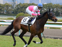 未勝利戦（牝）　キャンター