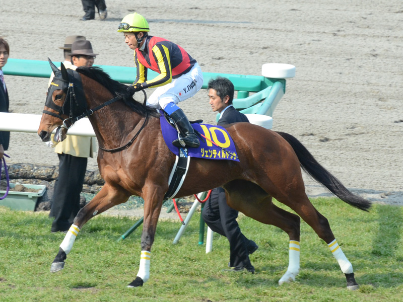 第16回POG 馬プロフィール ジェンティルドンナ