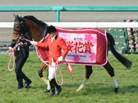 桜花賞（ＧＩ）　口取り