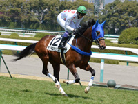 未勝利戦　キャンター