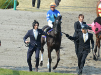 桜花賞（ＧＩ）　本馬場入場