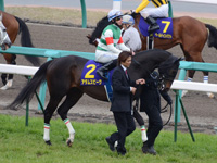 皐月賞（ＧＩ）　本馬場入場