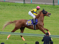 皐月賞（ＧＩ）　キャンター