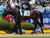 500万平場戦　パドック