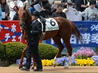 500万平場戦　パドック