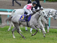 皐月賞（ＧＩ）　本馬場入場