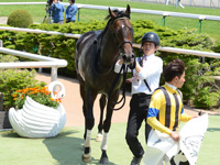 未勝利戦　口取り