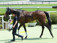 未勝利戦　口取り