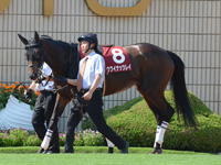 京都新聞杯（ＧII）　パドック