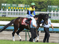 京都新聞杯（ＧII）　本馬場入場