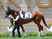 500万平場戦　パドック