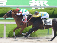 500万平場戦　ゴール前