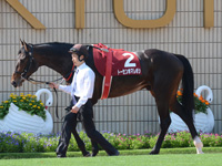 京都新聞杯（ＧII）　パドック