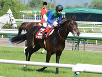京都新聞杯（ＧII）　キャンター