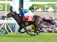 京都新聞杯（ＧII）　ゴール前