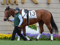未勝利戦（牝）　パドック
