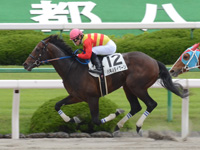 500万平場戦　ゴール前