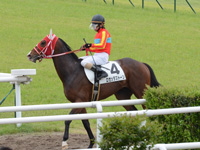 未勝利戦　レース後