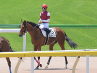 未勝利戦　レース後