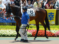 未勝利戦　パドック