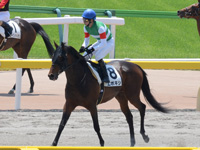未勝利戦　レース後