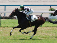 京都5R　新馬戦　ナオミノユメ