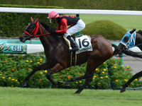 阪神２Ｒ　未勝利戦　レッドアラビアータ
