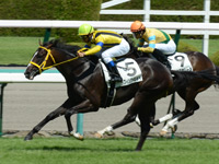 阪神５Ｒ　新馬戦　ラヴィングインメイ