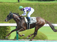 阪神１Ｒ　未勝利戦　サンライズシャトー