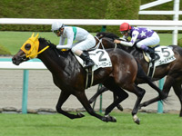 阪神５Ｒ　新馬戦　トミーバローズ