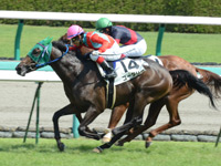 阪神2R　未勝利戦　コーダリー