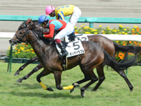 阪神4R　新馬戦　ディザイラブル