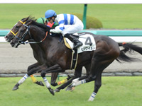 阪神5R　新馬戦　ヒシワイルド
