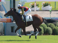 京都5R　新馬戦　アナスタシアブルー