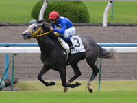 京都2R　未勝利戦　タイセイシュバリエ