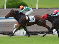 京都2R　新馬戦　ソラコマチ