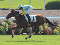 京都3R　未勝利戦　デルマイザナミ