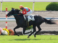 京都3R　未勝利戦　ブライトライン